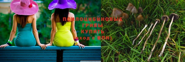 первитин Арсеньев