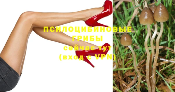 крисы Аркадак