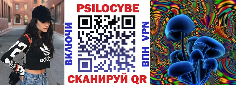продажа наркотиков  Кувшиново  Псилоцибиновые грибы Psilocybe 